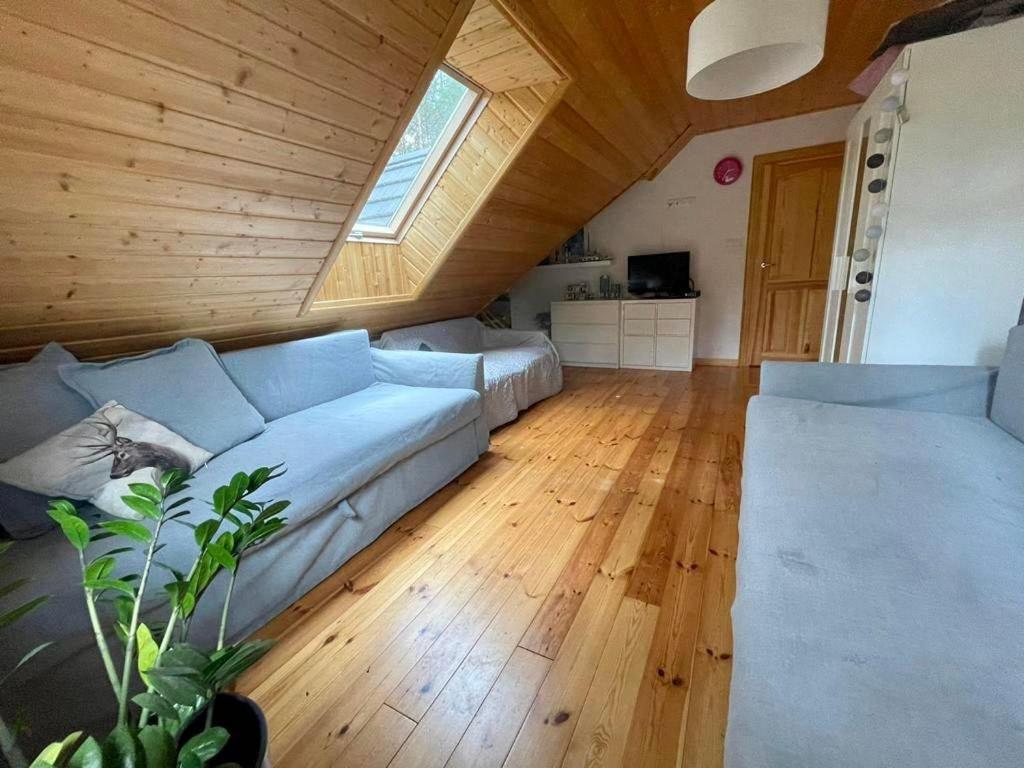 Caloroczne Domy Z Bala - Casa Del Czyzyk Serwy Ngoại thất bức ảnh